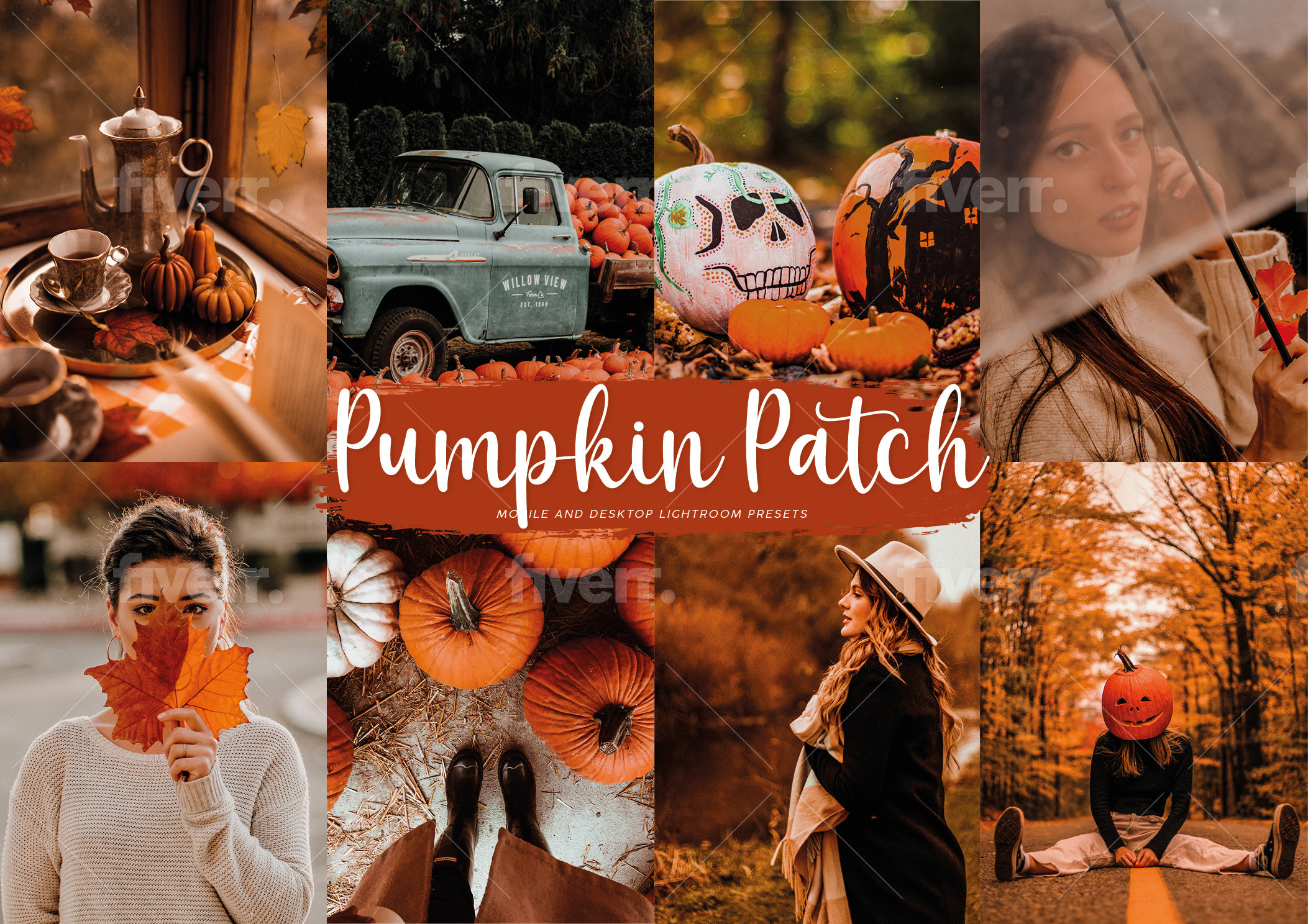 Pumpkin Patch Cover Photo